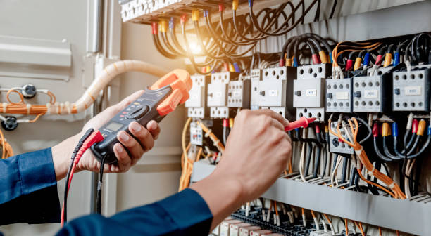 Best Electric Panel Repair  in Crystal Lake, FL